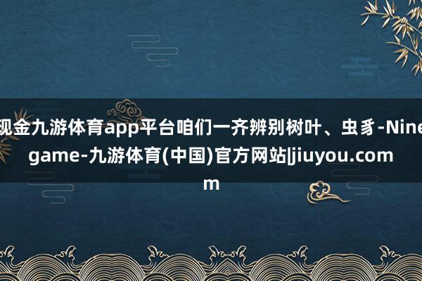 现金九游体育app平台咱们一齐辨别树叶、虫豸-Ninegame-九游体育(中国)官方网站|jiuyou.com